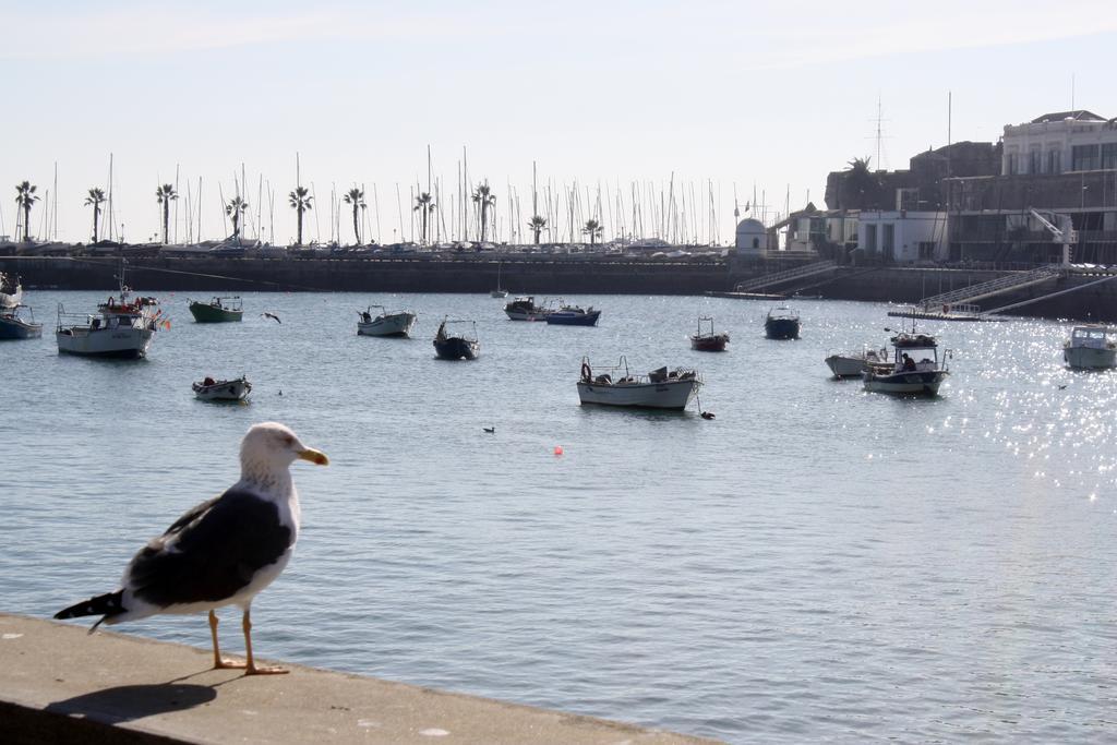 Charming Cascais Apt. Værelse billede